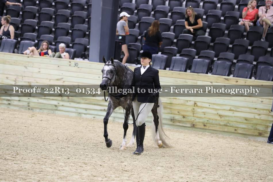Proof 22R13_01534
