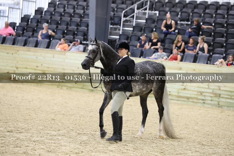 Proof 22R13_01536