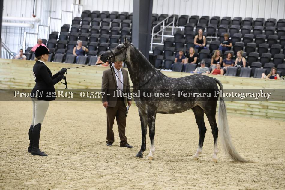 Proof 22R13_01537