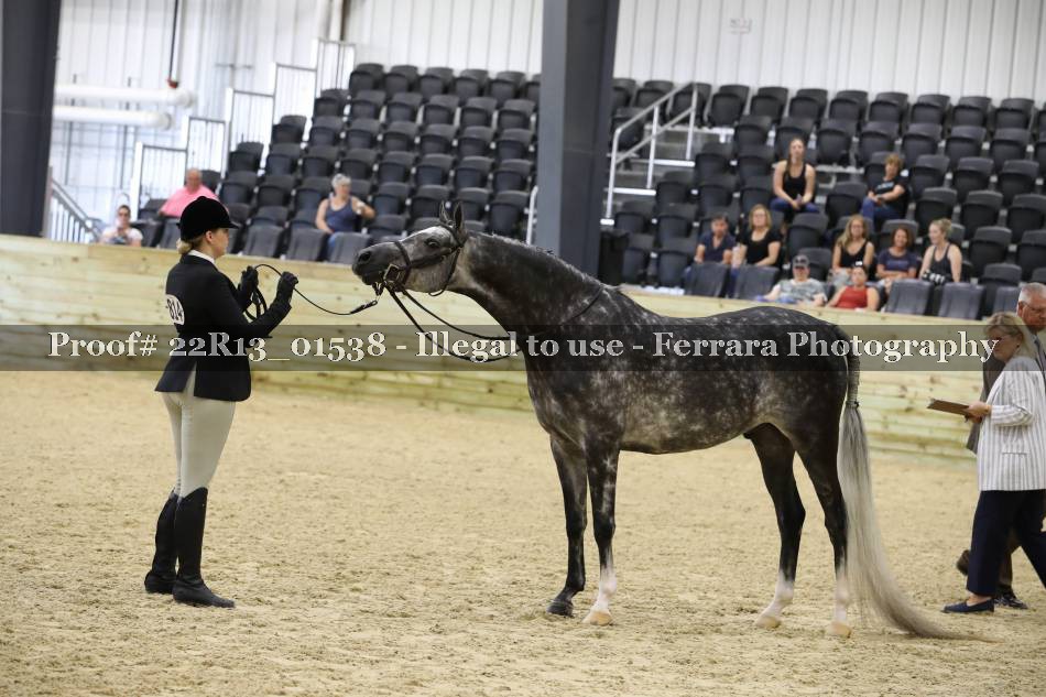 Proof 22R13_01538