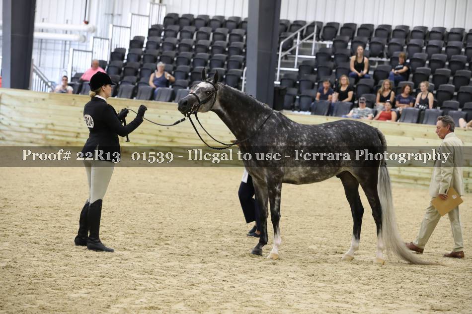 Proof 22R13_01539