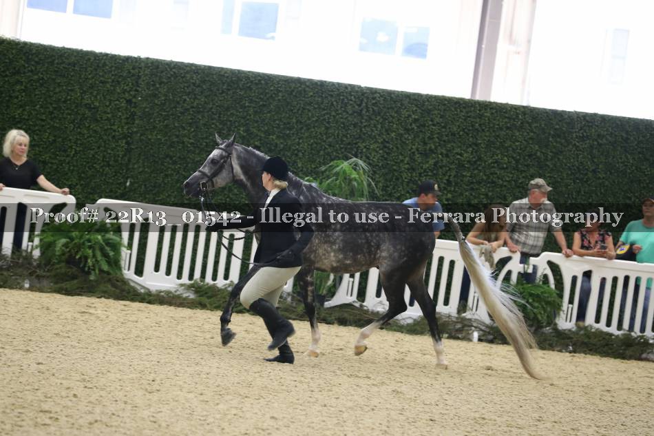 Proof 22R13_01542