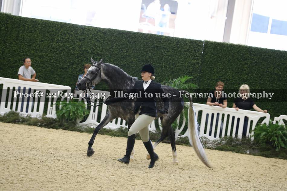 Proof 22R13_01543