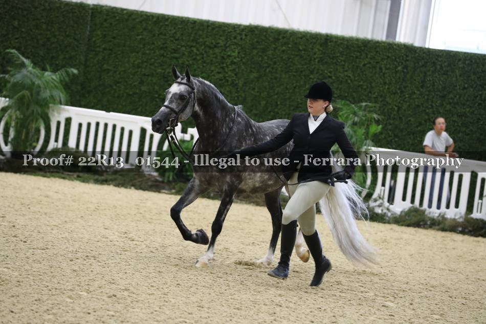 Proof 22R13_01544