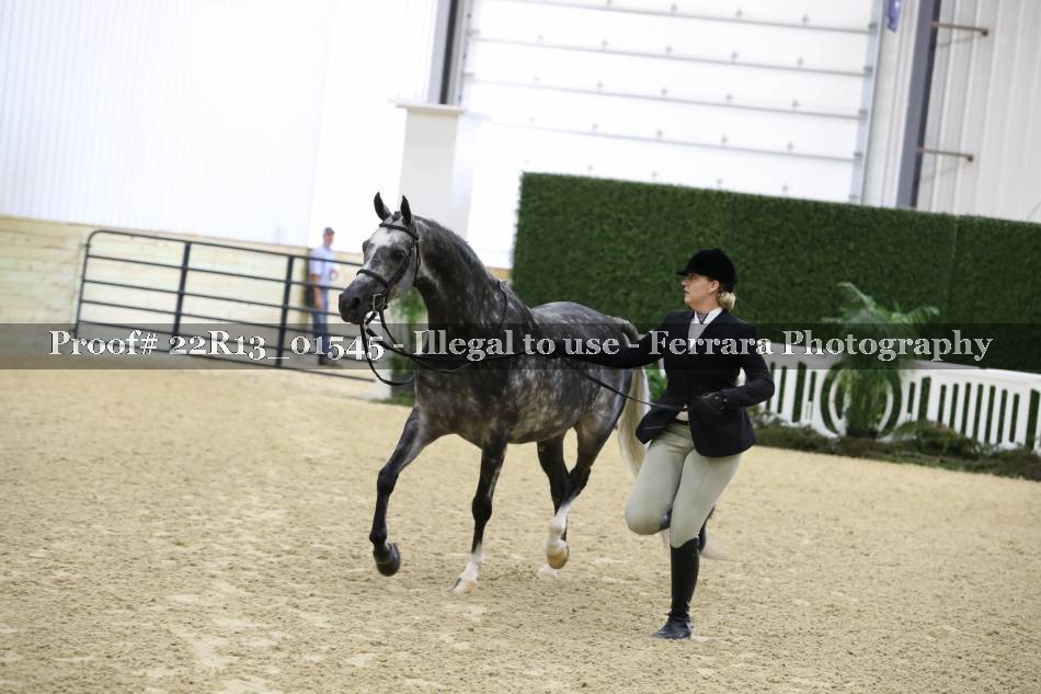 Proof 22R13_01545