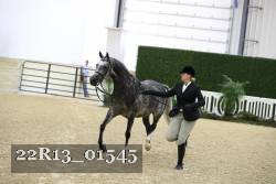 22R13_01545 proof