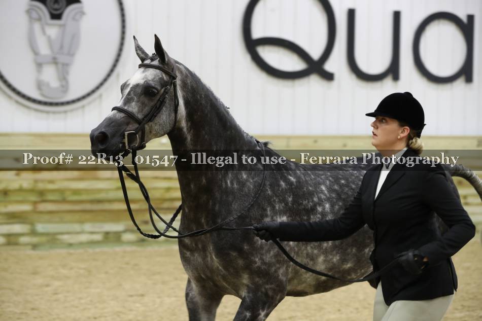 Proof 22R13_01547