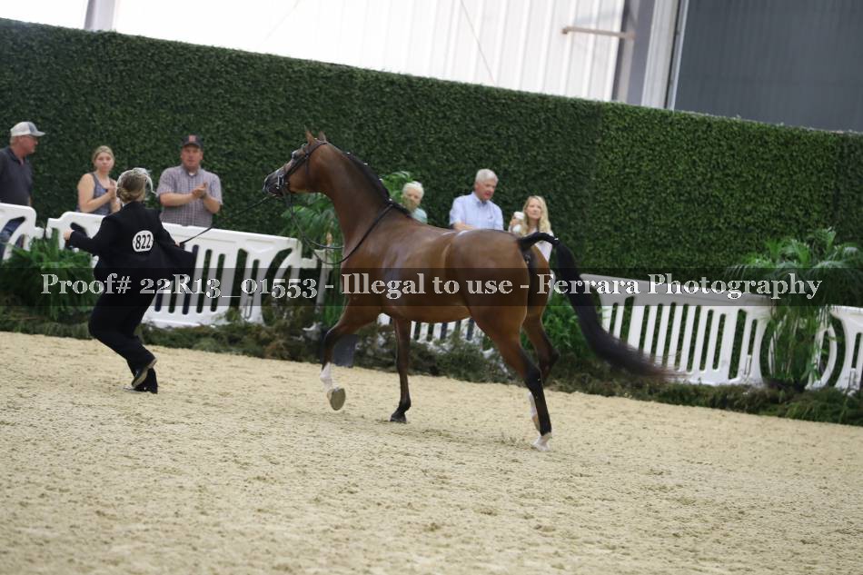 Proof 22R13_01553