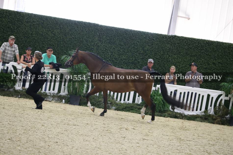 Proof 22R13_01554
