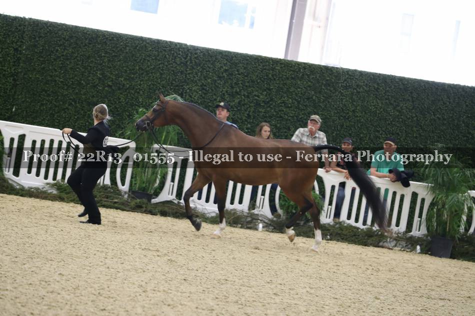 Proof 22R13_01555