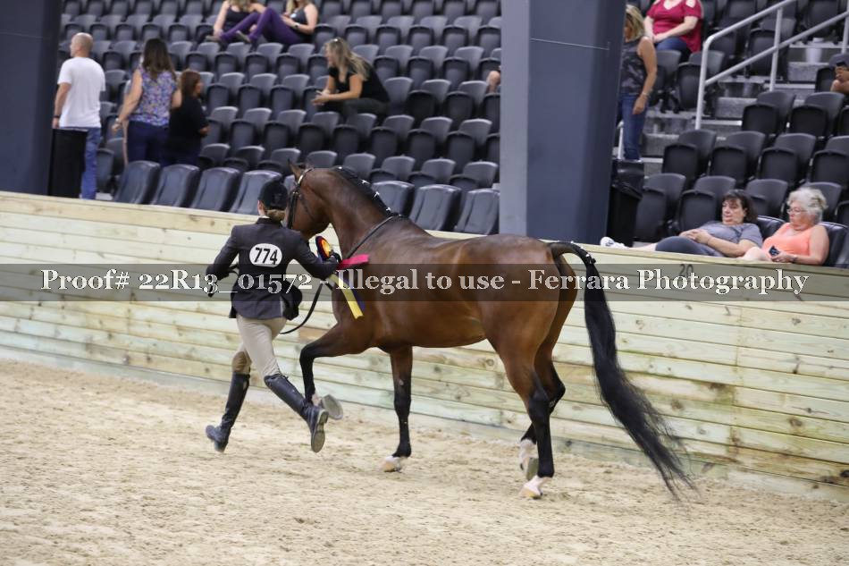 Proof 22R13_01572