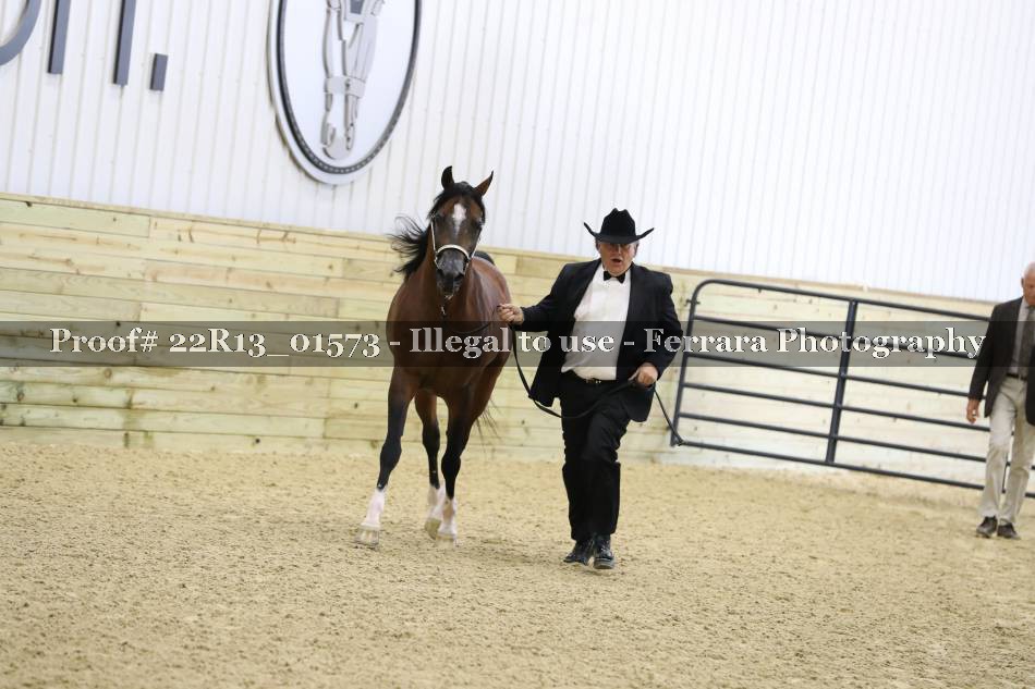 Proof 22R13_01573