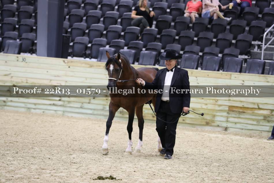 Proof 22R13_01579