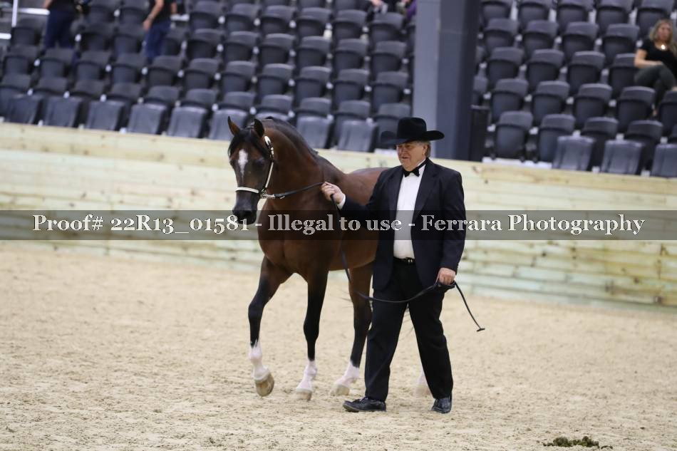 Proof 22R13_01581