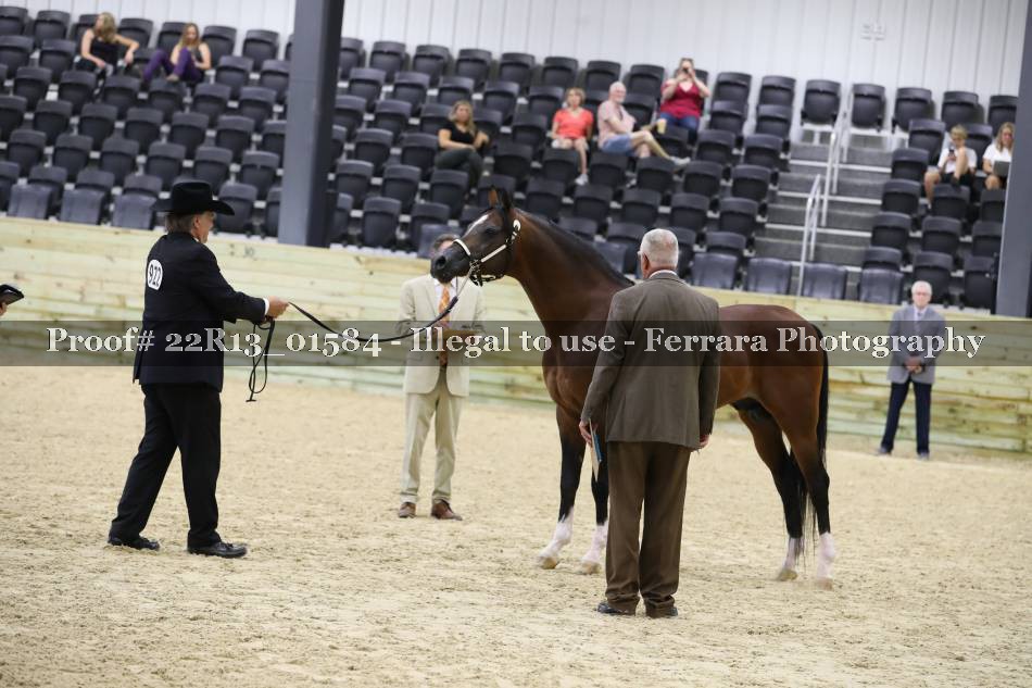 Proof 22R13_01584