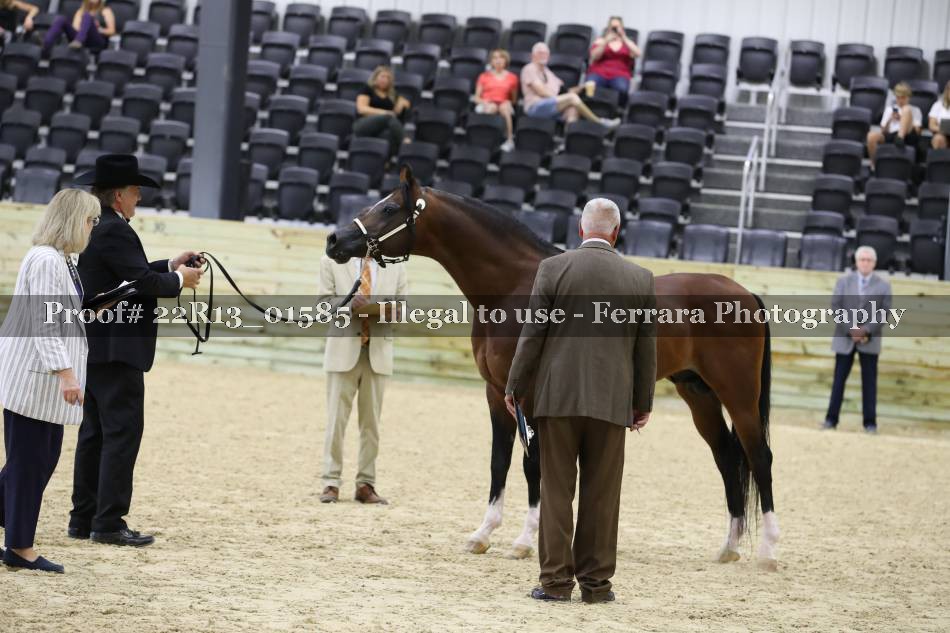 Proof 22R13_01585