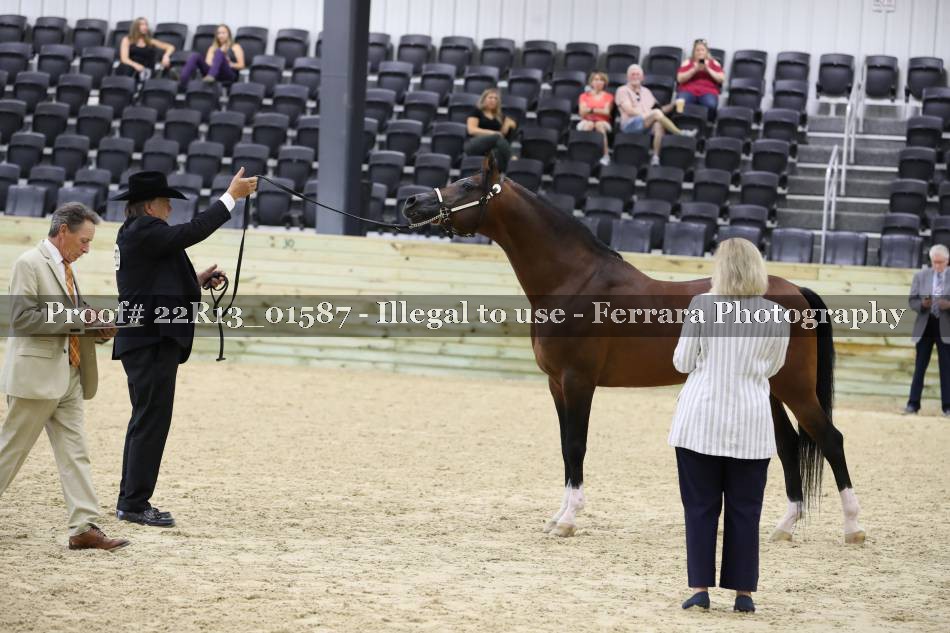 Proof 22R13_01587
