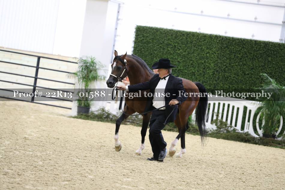 Proof 22R13_01588