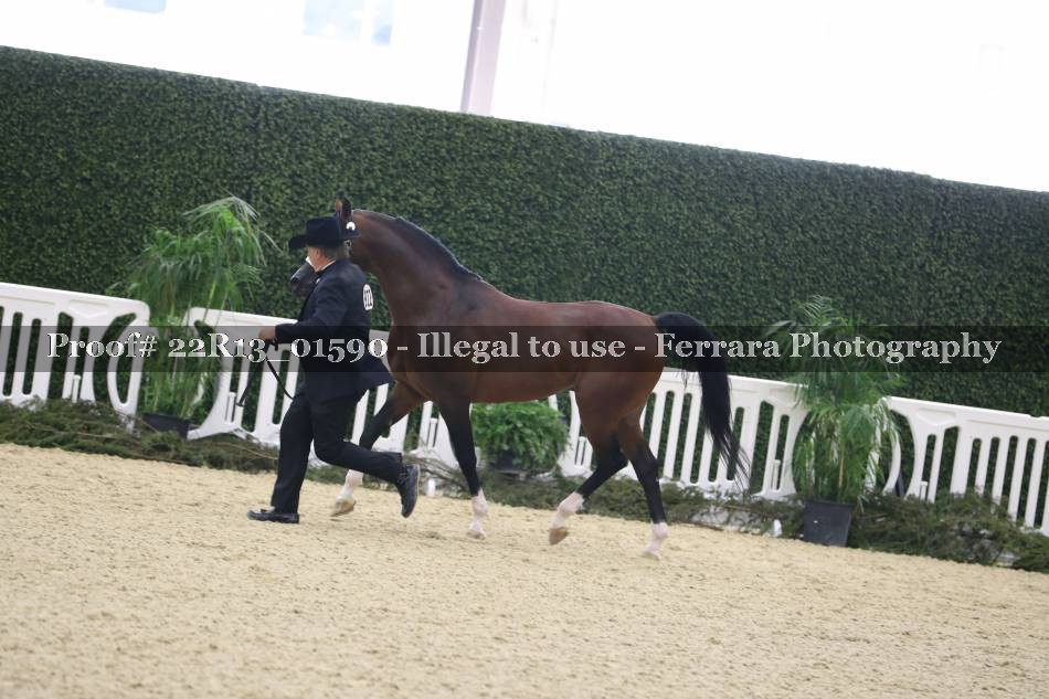 Proof 22R13_01590