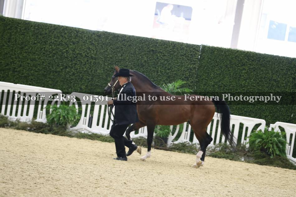 Proof 22R13_01591