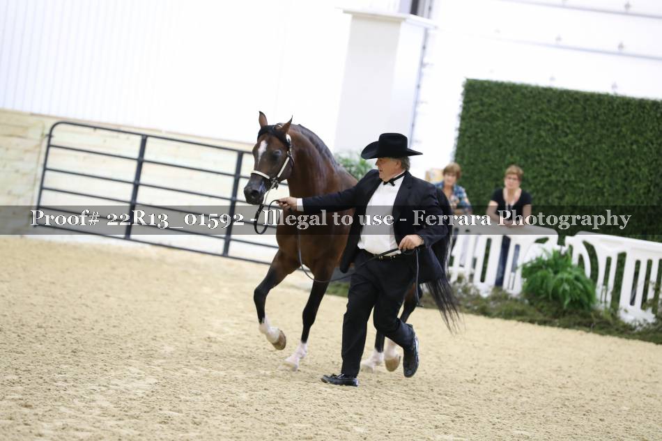 Proof 22R13_01592