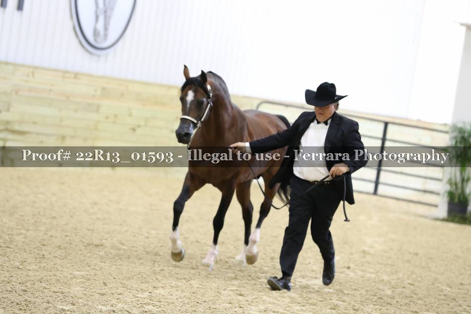 Proof 22R13_01593