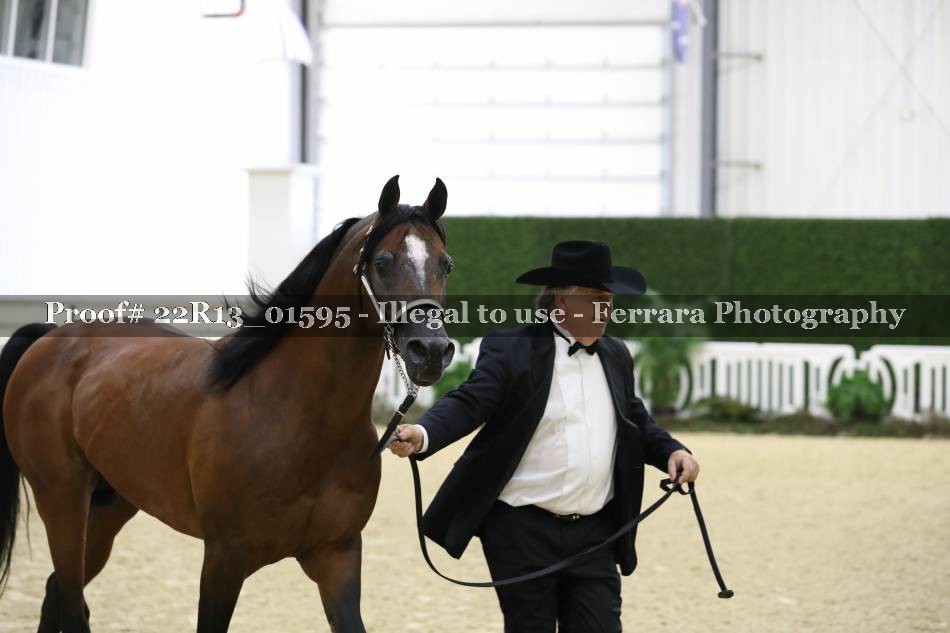Proof 22R13_01595