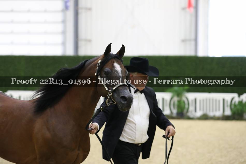 Proof 22R13_01596