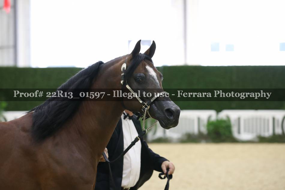 Proof 22R13_01597