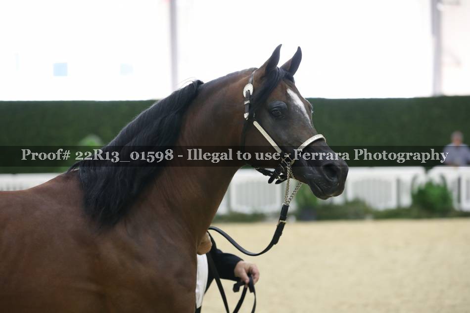 Proof 22R13_01598