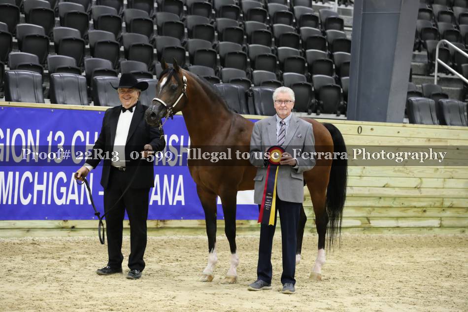 Proof 22R13_01599