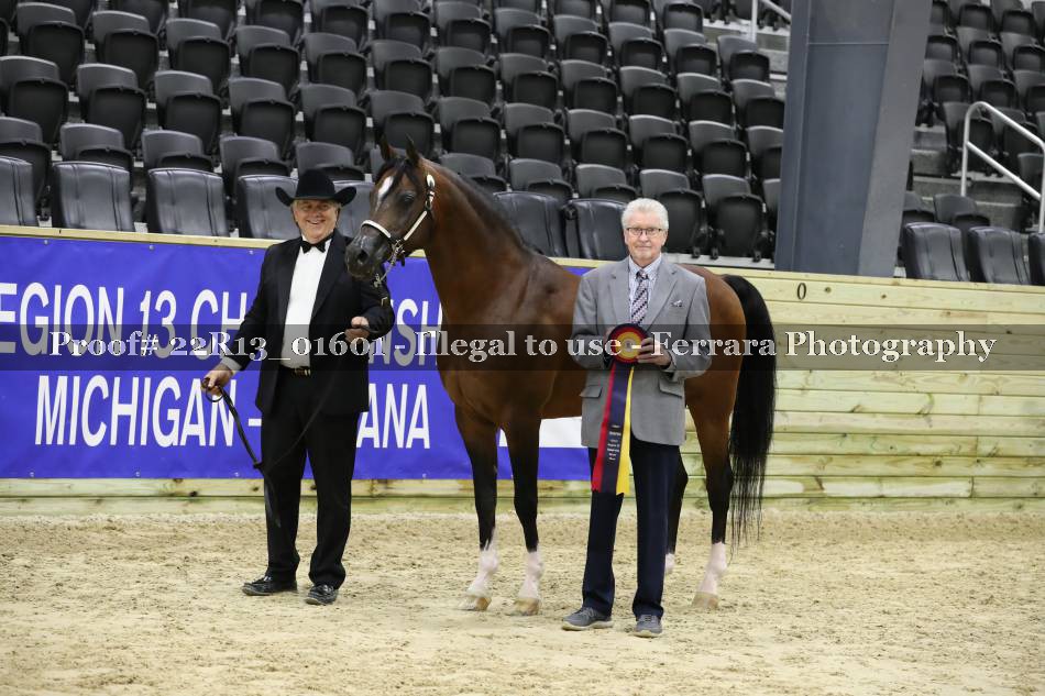 Proof 22R13_01601