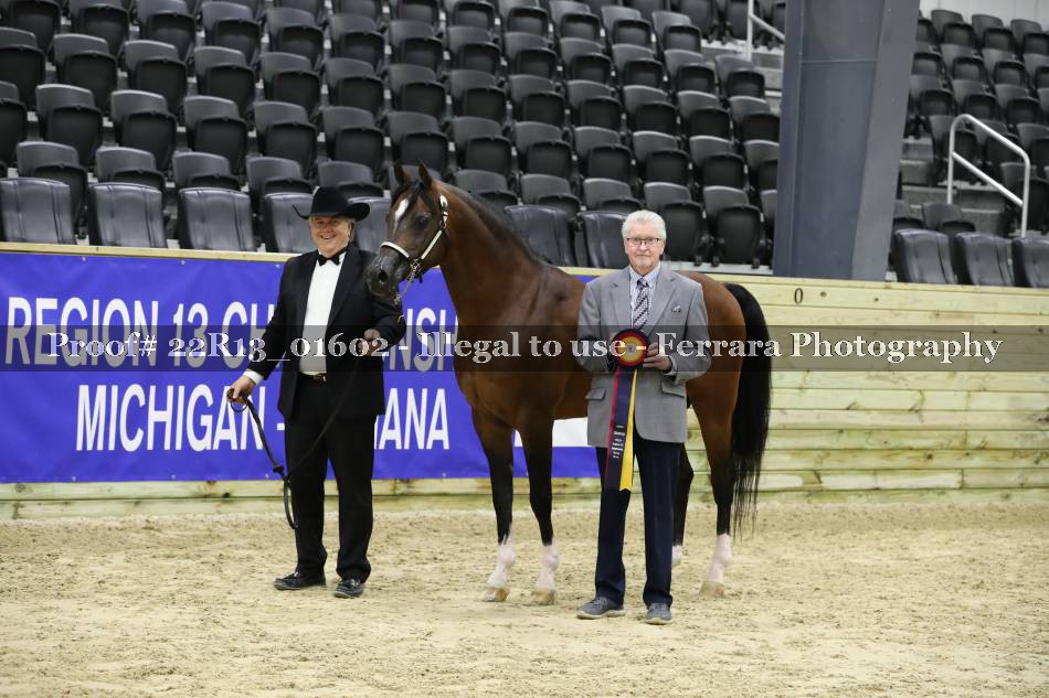 Proof 22R13_01602