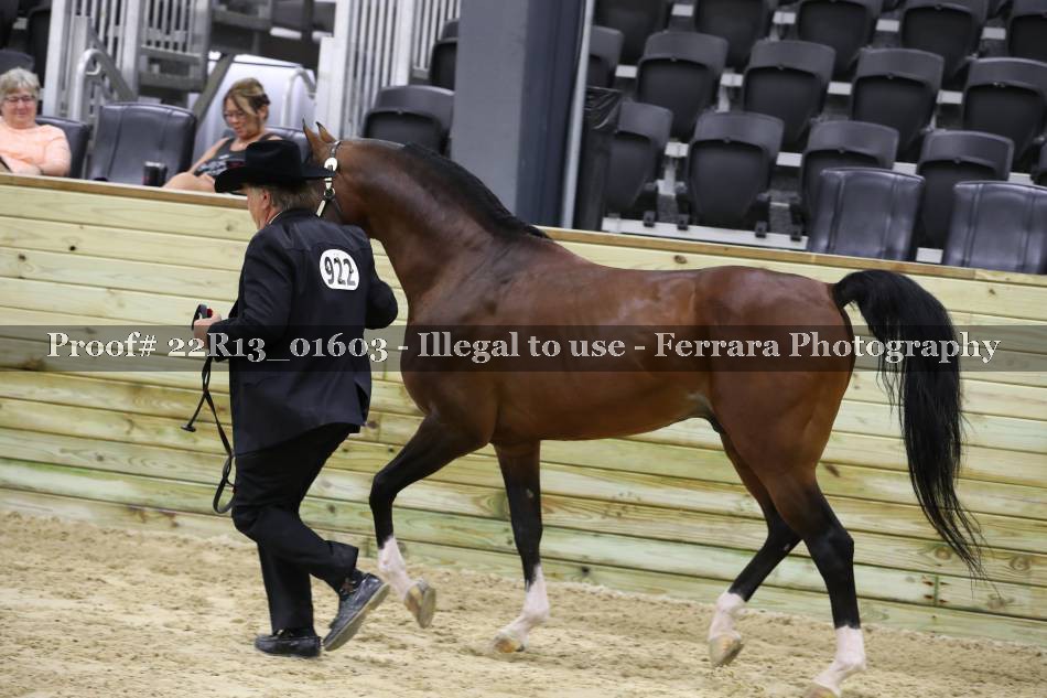 Proof 22R13_01603
