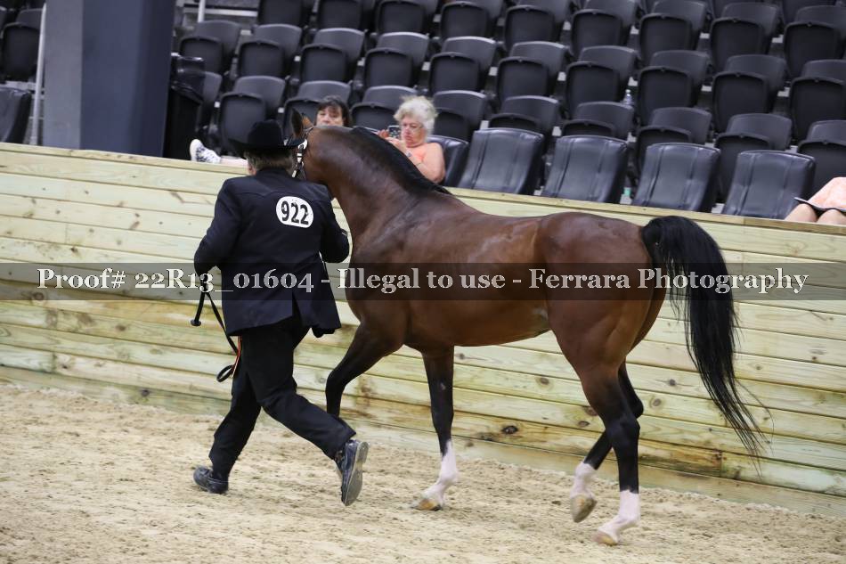 Proof 22R13_01604