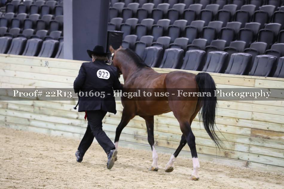 Proof 22R13_01605