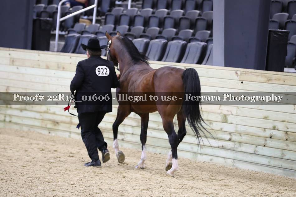 Proof 22R13_01606