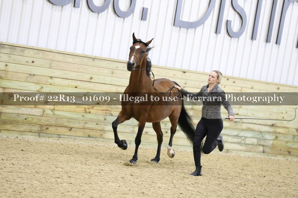 Proof 22R13_01609