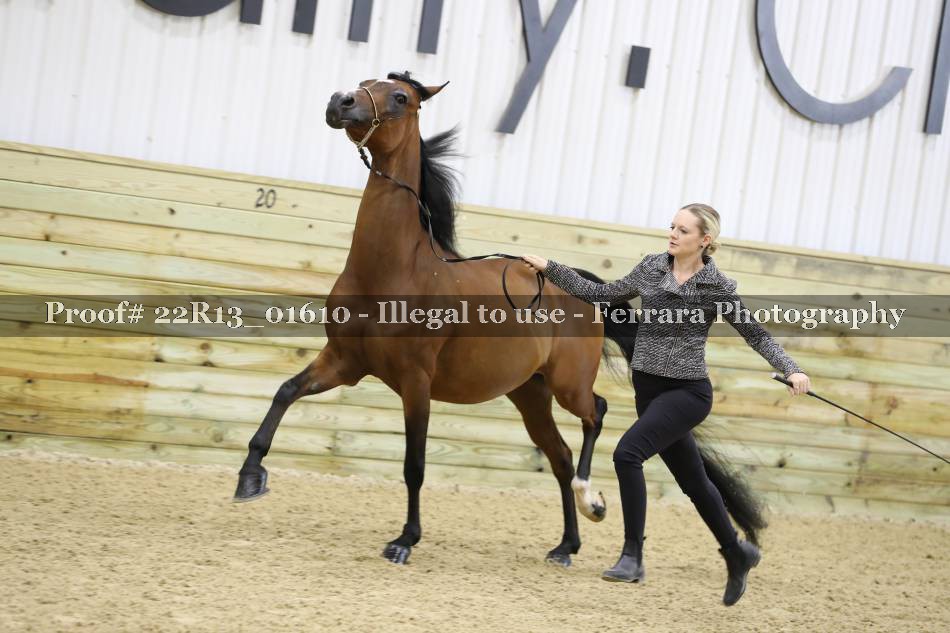 Proof 22R13_01610