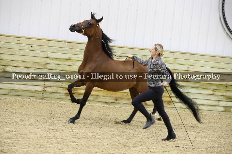 Proof 22R13_01611