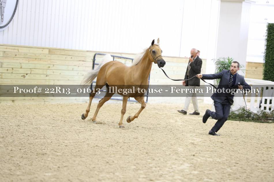 Proof 22R13_01613