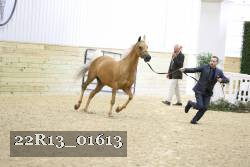 22R13_01613 proof