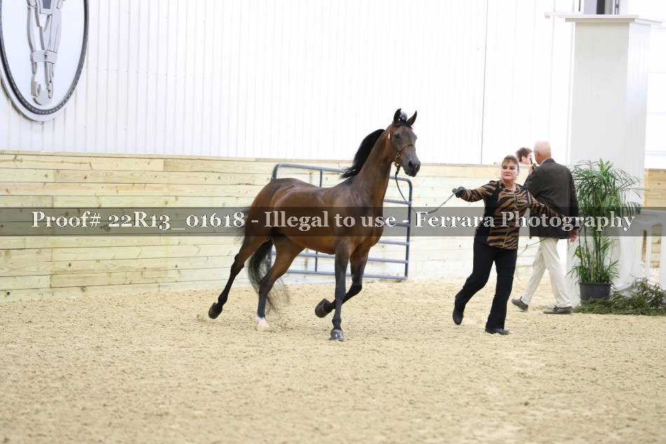 Proof 22R13_01618