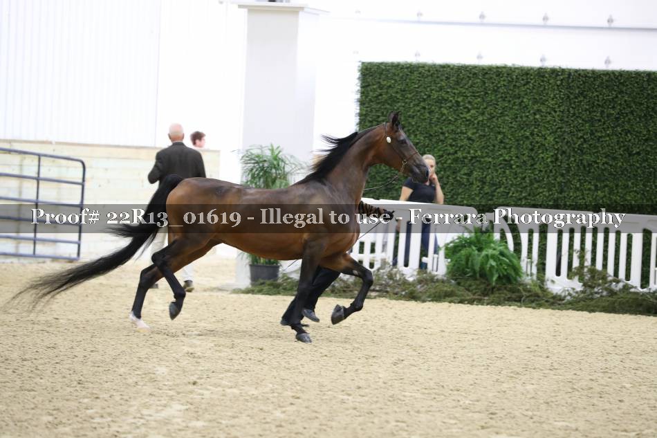 Proof 22R13_01619