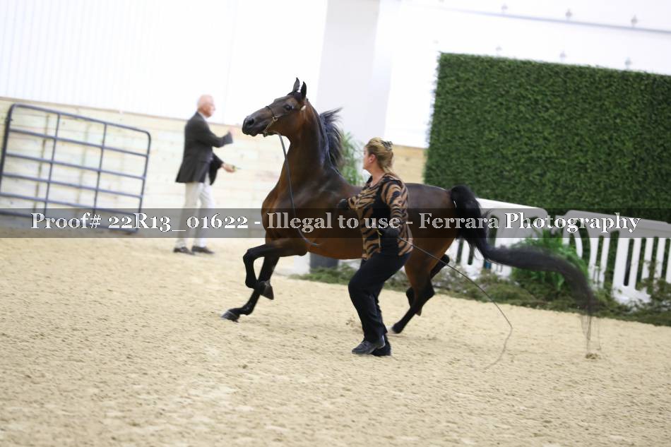 Proof 22R13_01622