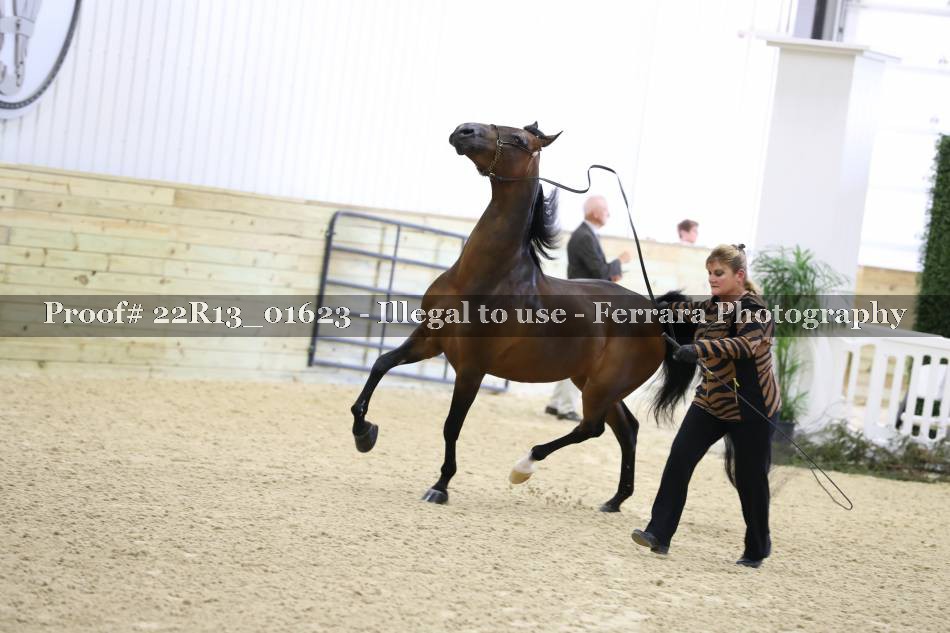 Proof 22R13_01623