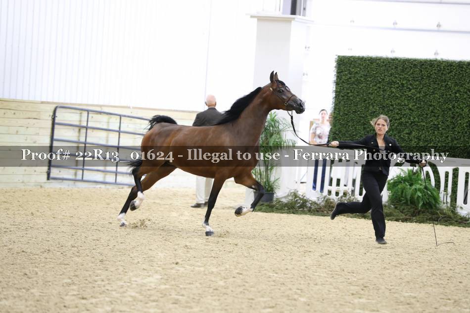 Proof 22R13_01624