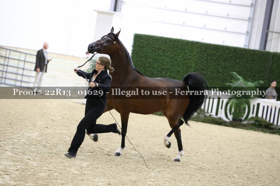 Proof 22R13_01629