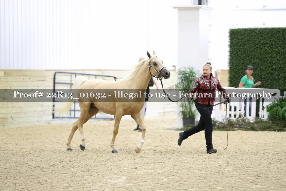 Proof 22R13_01632