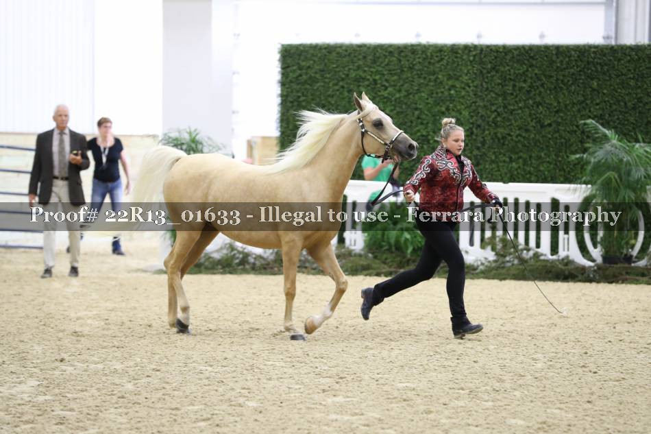 Proof 22R13_01633